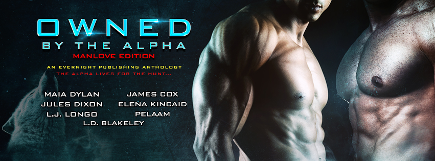 Owned-by-the-Alpha-Antho2-EvernightPublishing2017-MM-Banner1
