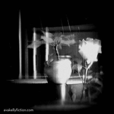 The Storypuff and the Rose by Ava Kelly